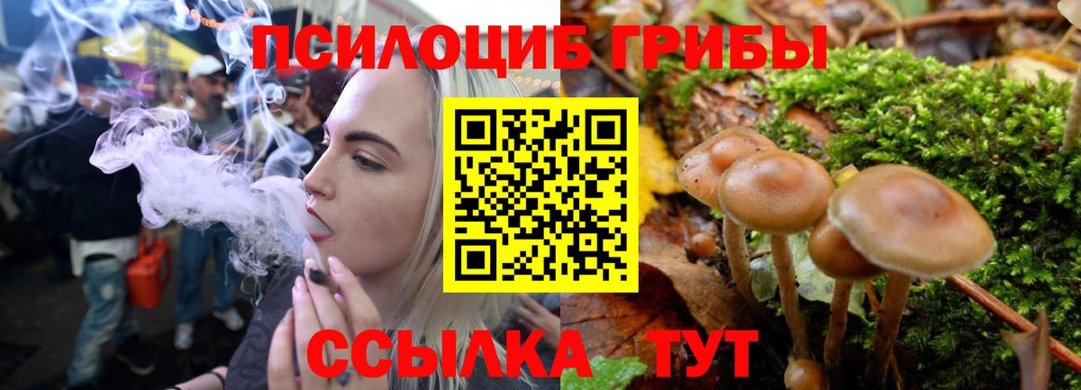 Псилоцибиновые грибы мухоморы  Вход с VPN  Краснокаменск 